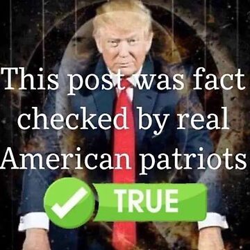 Trump behind a Q and fact checking some posts.